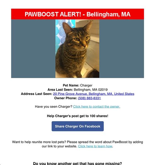 Search 192 apartments for rent in Bellingham, WA. . Bellingham craigslist pets